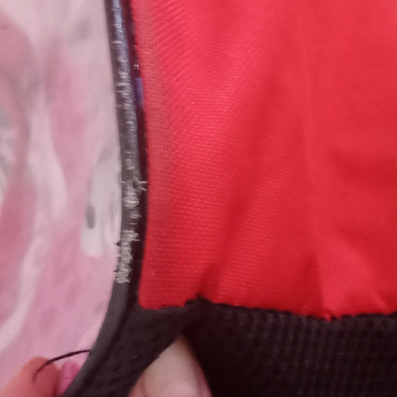 Disney Minnie Mouse Backpack w/Water Bottle - Picture 7 of 10